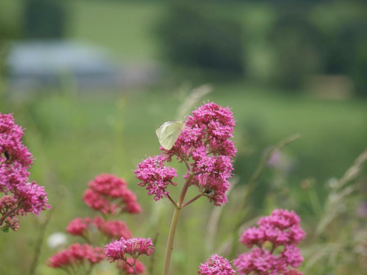 Incheoch Farm Cottage Kilry エクステリア 写真